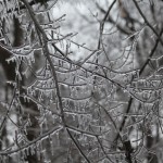 Listings of information on ice storm resources