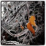 ICE STORM: Comparing Lansing’s experience to Toronto’s